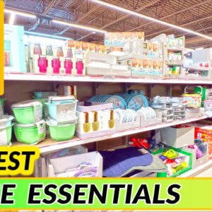 New Finds at ALDI: A Store Walkthrough of the Latest Arrivals 🛒💥